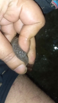 紧包皮包皮鸡巴特写撒尿和撸管