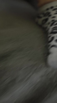 Overview of My Body