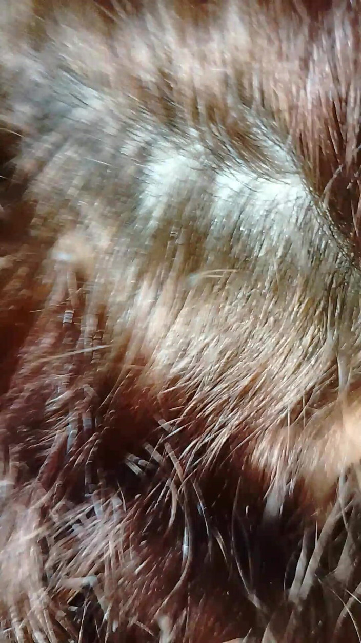 VioletOffer97: I Got My Stepson Between the Sheets to Fuck Him...