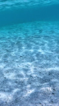 Magic Movie Welcome to Maldives