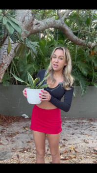 Watering the Plants Again