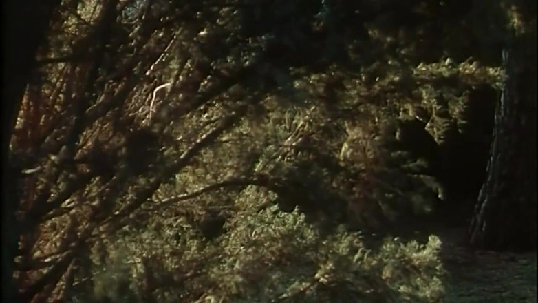 XTime Vod: Cicciolina Is: Diva - (full Movie - Original Version)