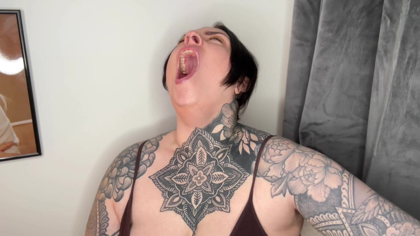 Evening Yawning Fest (Miss Valentina)
