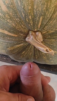 Kontol lapar di antara labu untuk halloween