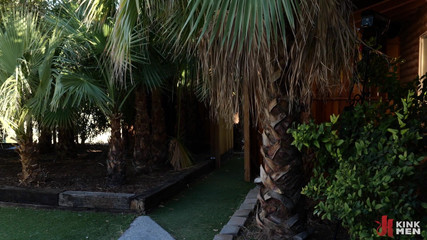 Taken rough: The Betrayal