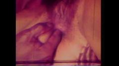 The Unforgettable: वैनेसा वल्गर पिग