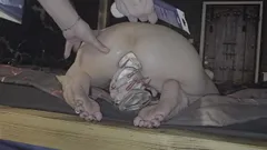 Use My Ass and Play with Me Please