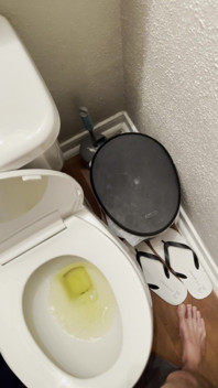 Sometimes I Film Myself Peeing