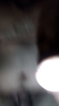 Little Dick