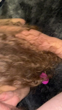 Busty MILF Stevie Nips Sucking Dick POV