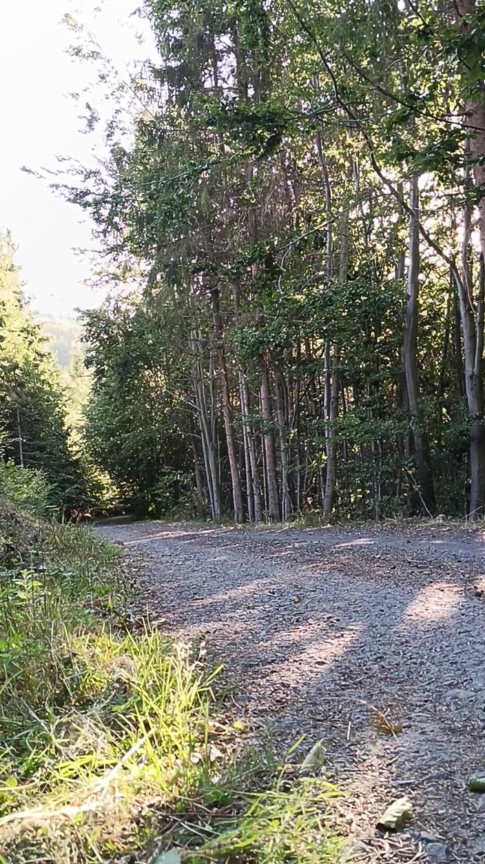 kickerscooter: Scooter Rider Venkovní masturbace