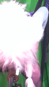 Furry Crossdresser Und Fickmaschiene