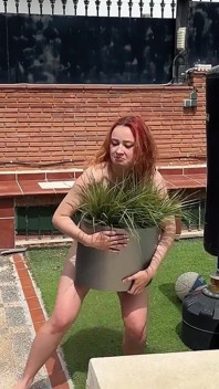 Desperate Housewives. Parody on 3rd Episode