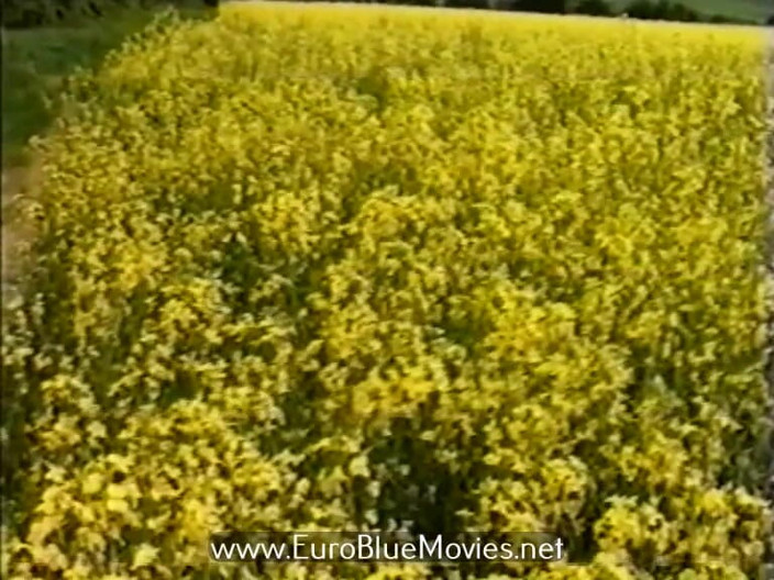 Euro Blue Movies: Kinky Class Reunion - Class Reunion - Class Reunion (1991)