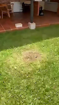 Arkadaşlarla yürüyüş beklediğimden daha iyi bitti, en iyi arkadaşımın kız arkadaşıyla yatmak