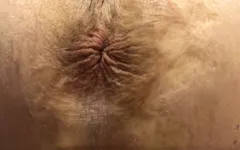 Asshole Winking 2 U Upclose Mesmerize