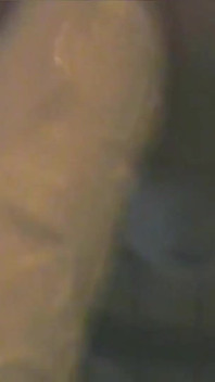 Slave in Cage Gets Anal Used