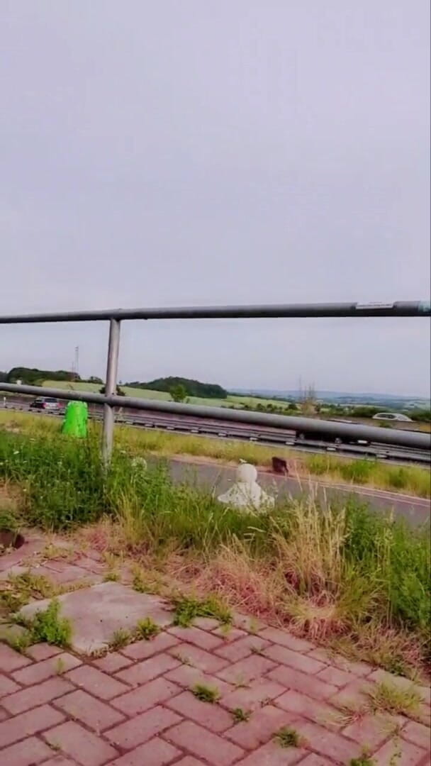 Slutboyben: Slutboyben Cam4 Highway Exhibitionist