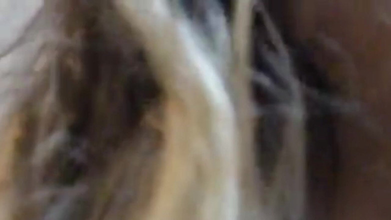 YourDickSucker: Amo