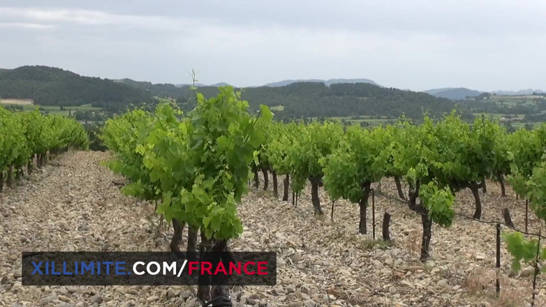 Made In France: Outdoor sex in the vineyards