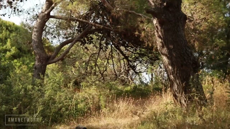 AmXNetwork: Fucking Beautiful Dutch Tourist in French Forest