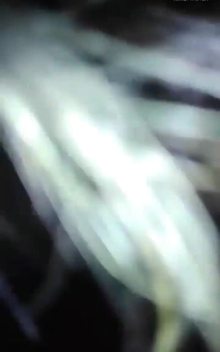 Lylsexxx: Трахаю багату повію