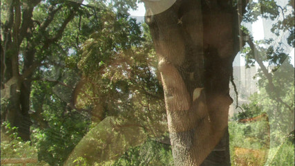 Hot Girlz: 运动夫妇在骑自行车训练后在后座上乱搞