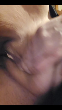 Pussy
