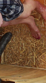 On Knees in Stable Sucking BBC Toy