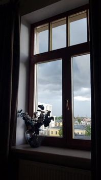 Nice Day