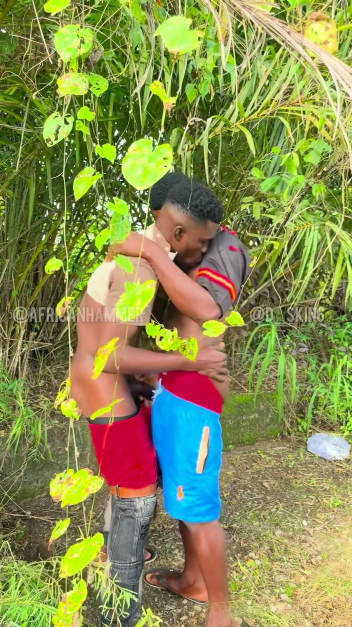 AFRICANHAMMER1: Outdoor Weather