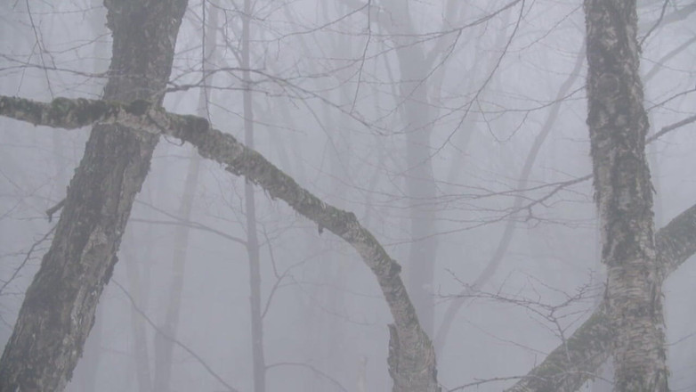 Himeros.tv: Nue dans la nature