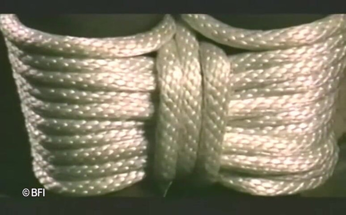 Art of Bondage: Có chúng tôi sử dụng - DVD - KHÔNG CÓ ÂM THANH