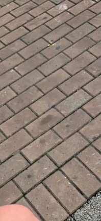 I'm Going to Kick Your Ass with My Size 45 Foot - 12½ Inches
