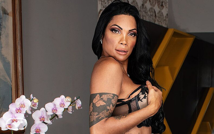 Virtual Real Trans: पहली सालगिरह मुबारक हो