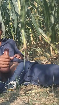 Asian Black Boy Big Cock Cumshot HD
