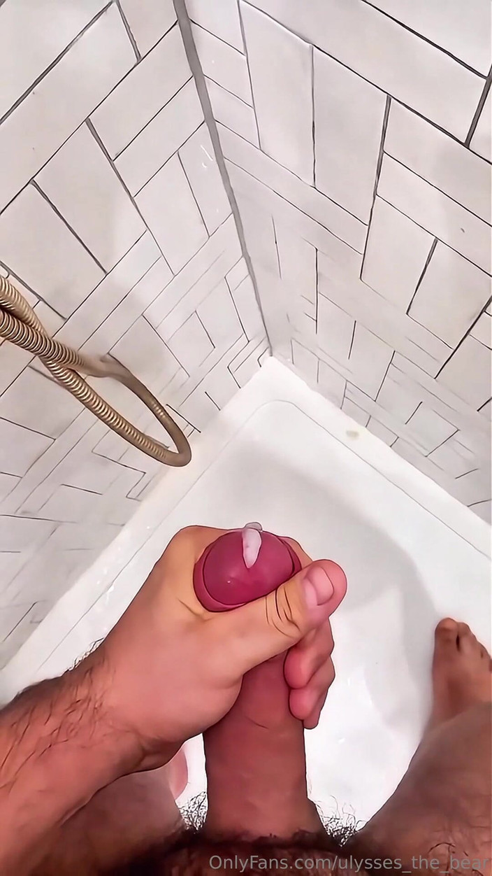 Ulysses the bear: Hard Load After a Long Daywhen the Day Ends