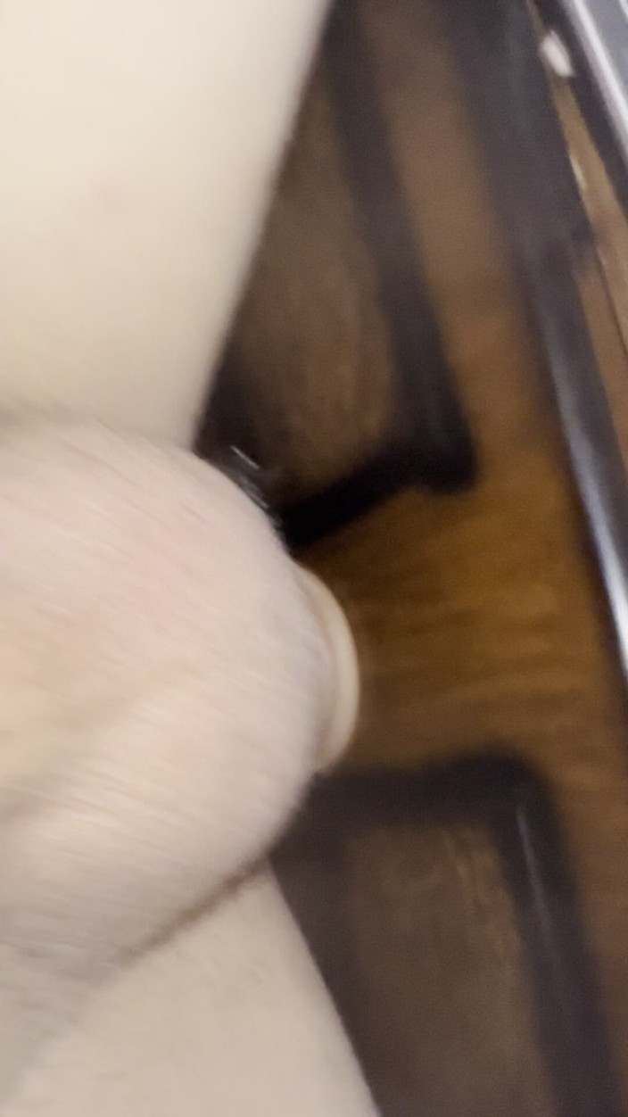 Elpenecurve: Je suis devenue un peu sexy parce que tu ne...