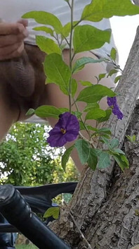 Watch Me Jerking off Outdoors While Hiding Behind a Tree