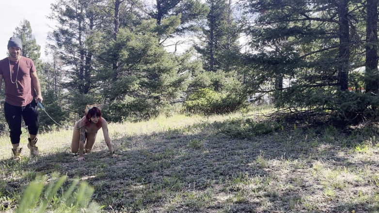 MYA Pleasure: 숲속의 여우