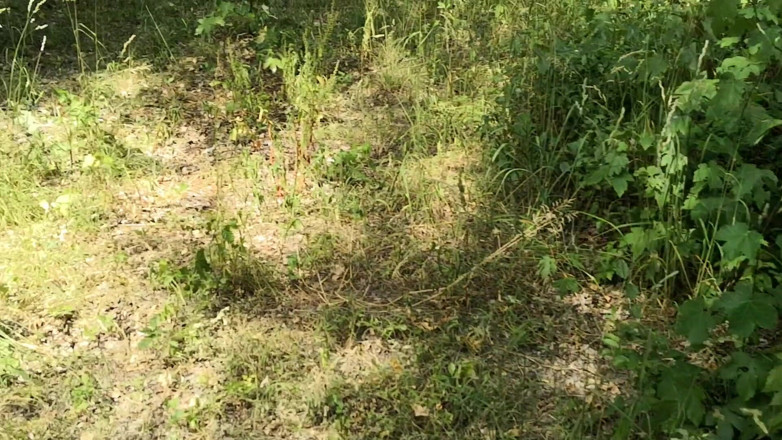 Bouncy Tits Action: Klapsa na zewnątrz