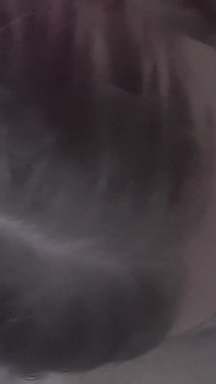 Yummy Blowjob From Trans