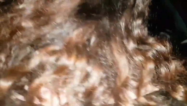 Real homemade BBW BBC porn: 户外大黑后入