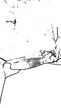 Grandi tette culo grosso sesso locale fidanzata sesso mattutino ragazza indiana sesso