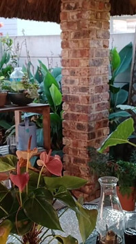 Masturbieren mit der ehefrau meines nachbarn im freien auf der terrasse