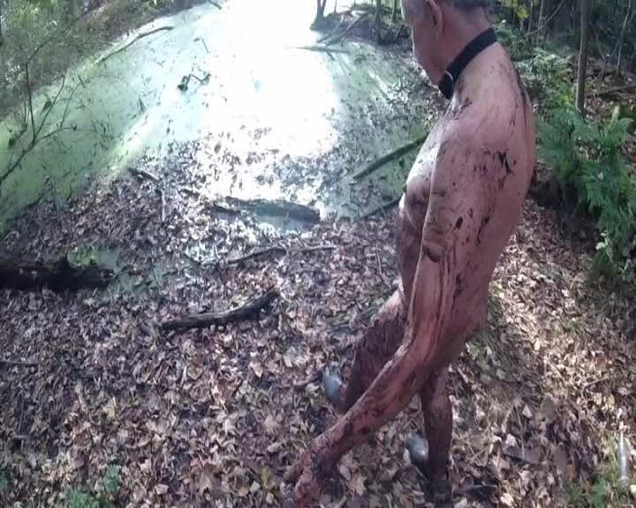 Andy: Partie 2 Dirty Ib the Woods