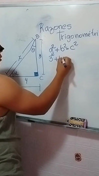 삼각법: 삼각법 비율