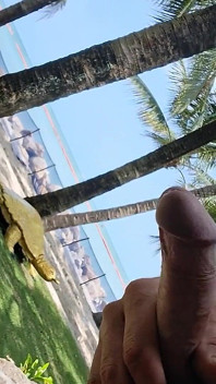 Public Beach Cock Flash