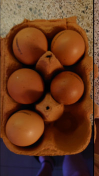 Happy Easter 2025