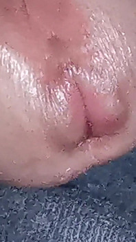 The Dick Growls at Its Owner